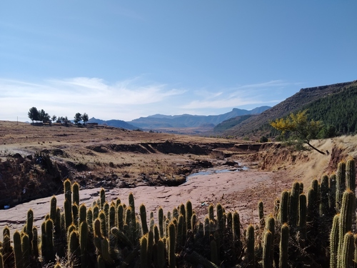Desert landscape